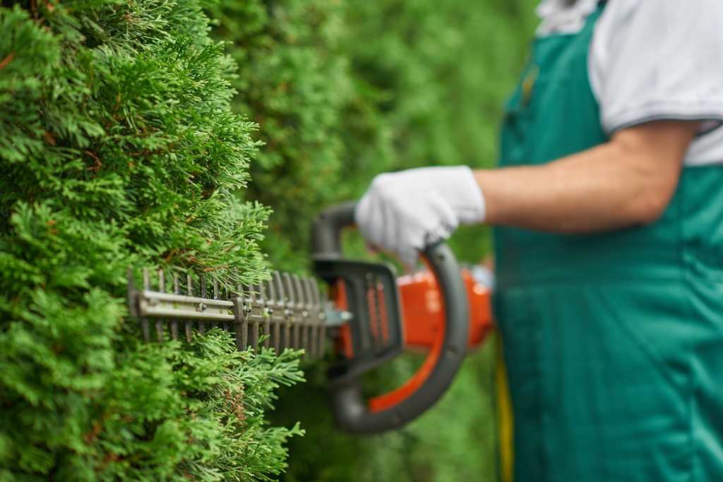 Close up of man hand with hedge trimmer cutting bushes